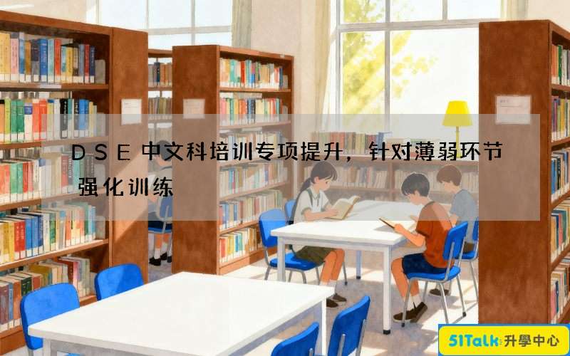 DSE中文科培训专项提升，针对薄弱环节强化训练